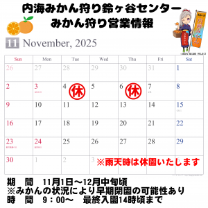 11月みかん狩り